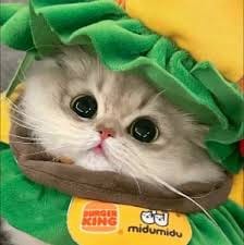 Billy Crawford avatar